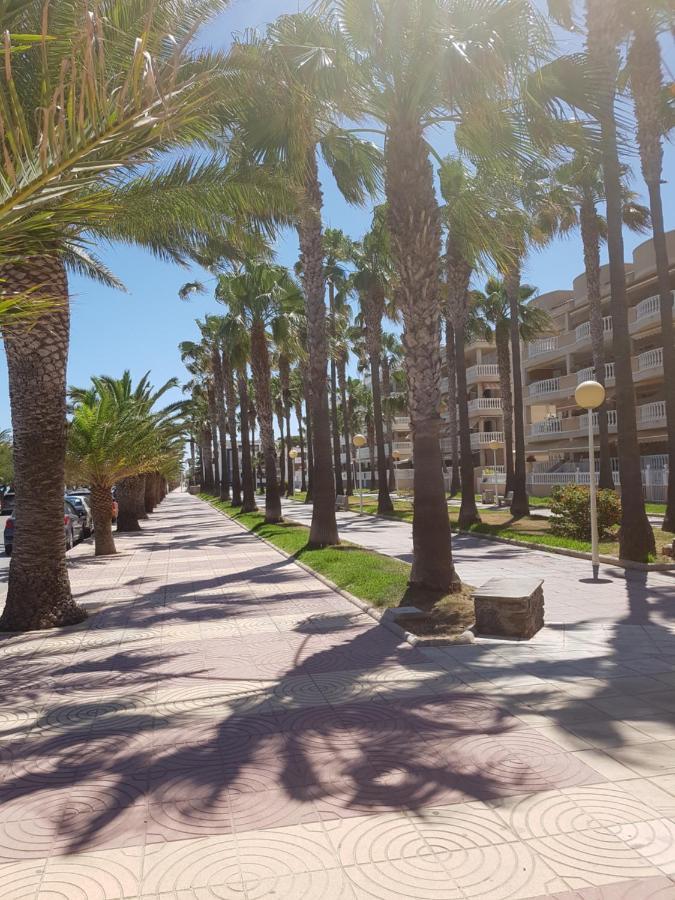 Apartamento Acogedor Moncófar المظهر الخارجي الصورة